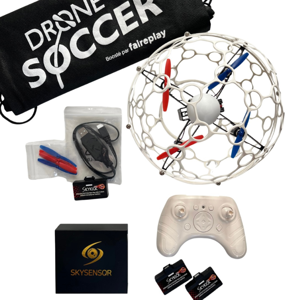 PackRTFDroneBallSkykickEVOetSkySensor(2Batteries)_back.png